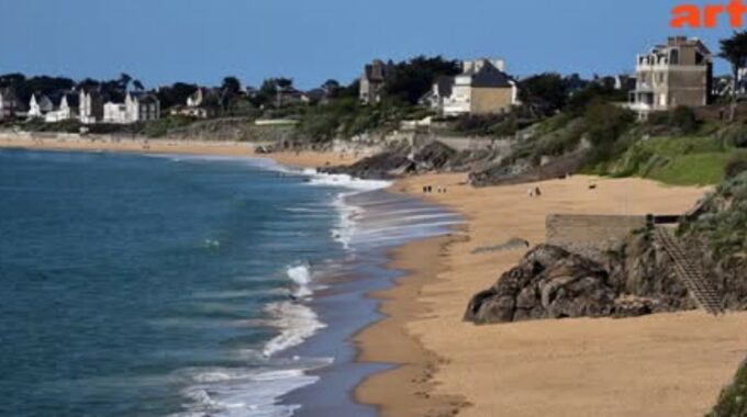 Des hirondelles contre un projet hôtelier vidéo ARTE