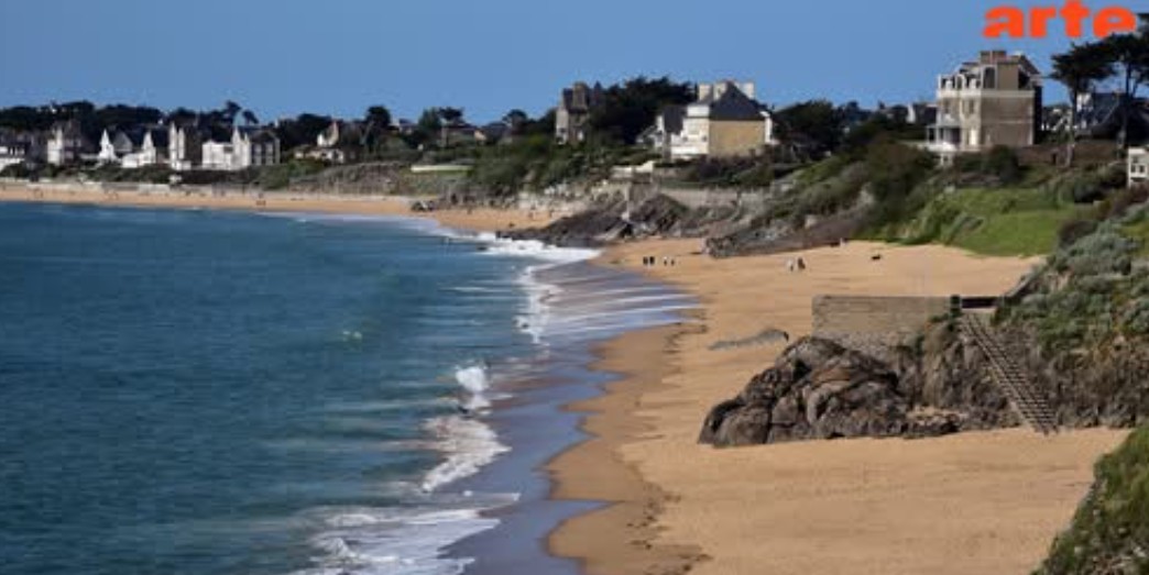 Des hirondelles contre un projet hôtelier vidéo ARTE